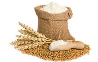 نظام طحن بالأحجار لإنتاج: القمح، الذرة، الشعير، الشوفان