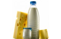 Yoğurt ,peynir ve ayran üretim hattı